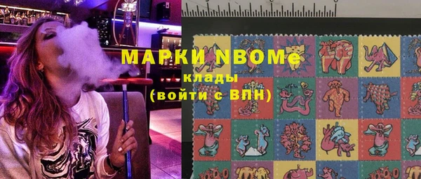 стафф Новодвинск