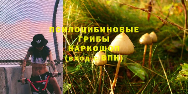 соль курить ск Абаза