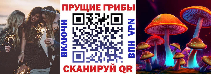блэк спрут как войти  Азов  Галлюциногенные грибы GOLDEN TEACHER 